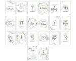 Baby milestone cards - Eucalyptus (German) - Image 2