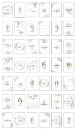 Cartes jalons Eucalyptus