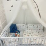 Complete set of 5 premium teddy bears