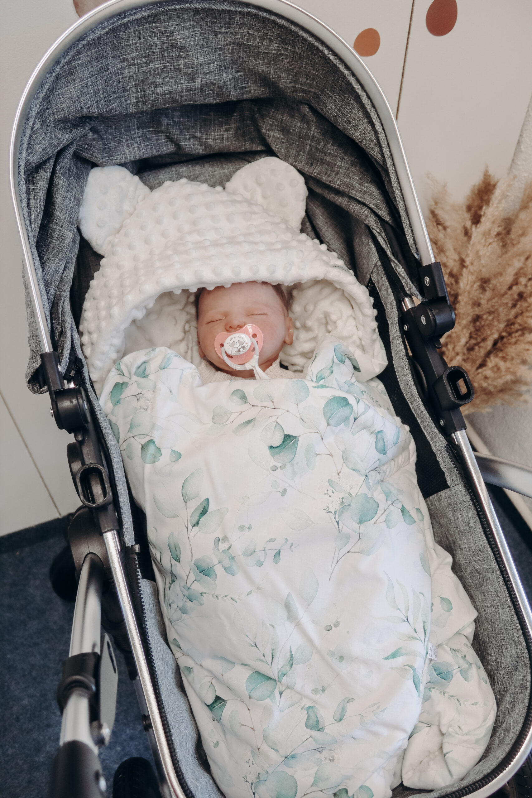 Autoschaledecke Eukalyptus Autoschale Decke Premium Eucalyptus Leaves – Bild 1