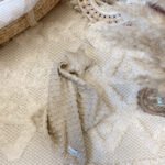 Piumino | Minky | Stella beige