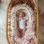 Baby nest 2 in 1| Premium Cotton| Arrival of Birds - Image 3