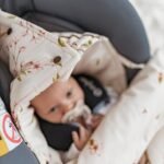 Car Seat Blanket Premium|3in1 |Arrival of Birds - Image 2