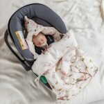 Car Seat Blanket Premium|3in1 |Arrival of Birds
