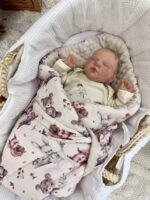 Swaddle Blanket| Premium Ultra Soft Muslin|TOG 2.5|Woodland Friends - Image 2