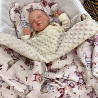 Ensemble de couvertures câlines, oreillers, minky en mousseline premium, Woodland Friends