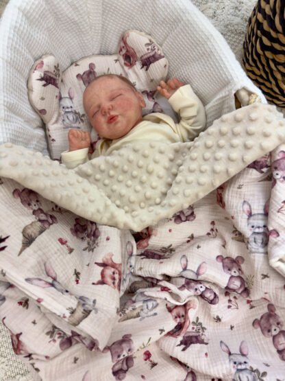 Set Kuscheldecke Kissen |Premium Musselin-Minky|Woodland Friends – Image 2