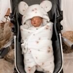 Car Seat Blanket Premium Muslin Daisies