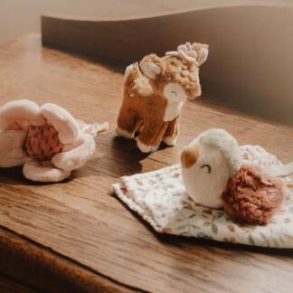Little Dutch Geschenkset Fairy Garden GRS