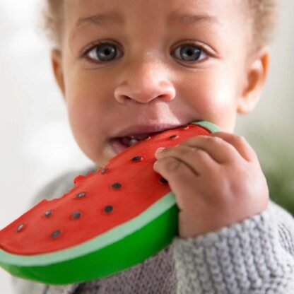 Oli&Carol Beissring|Wally the Watermelon - Image 2