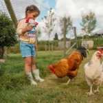 Kuschelpuppe Holländische Rosa 35cm – Bild 3