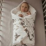 Einschlagdecke & Kissen French Bulldog